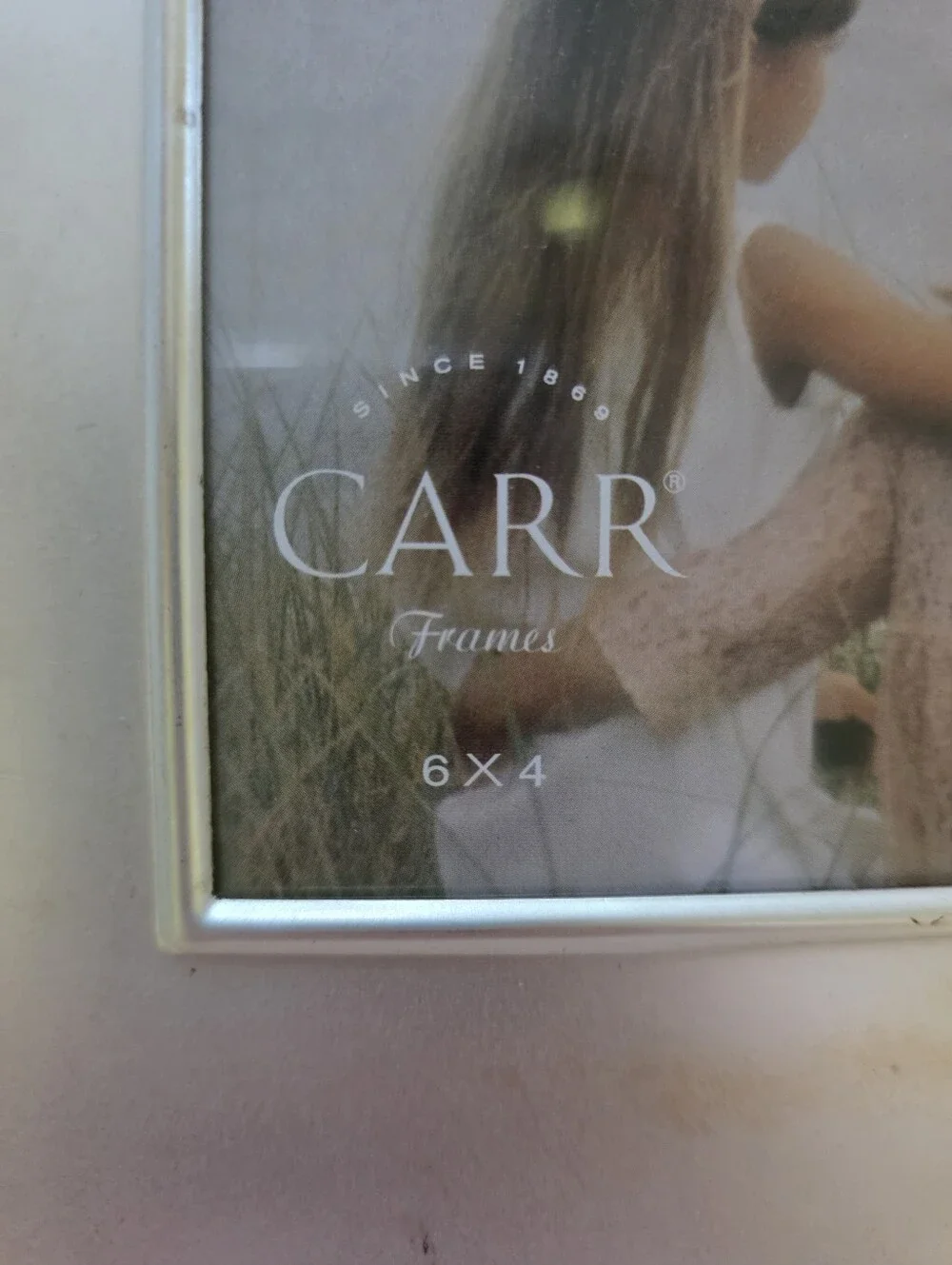 Carr 4x6 Picture Frame 
